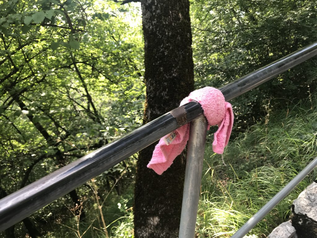 Yeşillikler içindeki metal merdiven üzerine bağlanmış pembe renkte bir bezin olduğu kare.