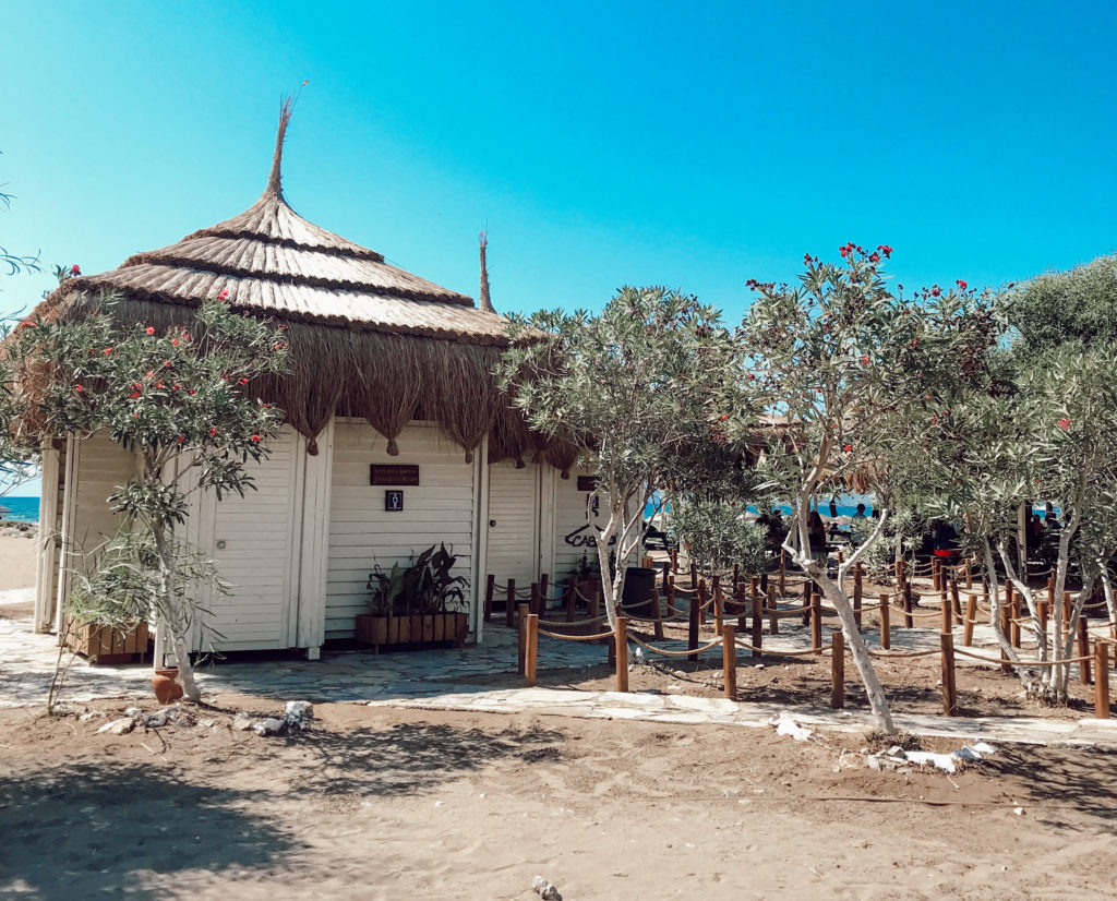 Beyaz minik bir kulube ertafında zeytin ağaçlarının yer aldığı görüntü.