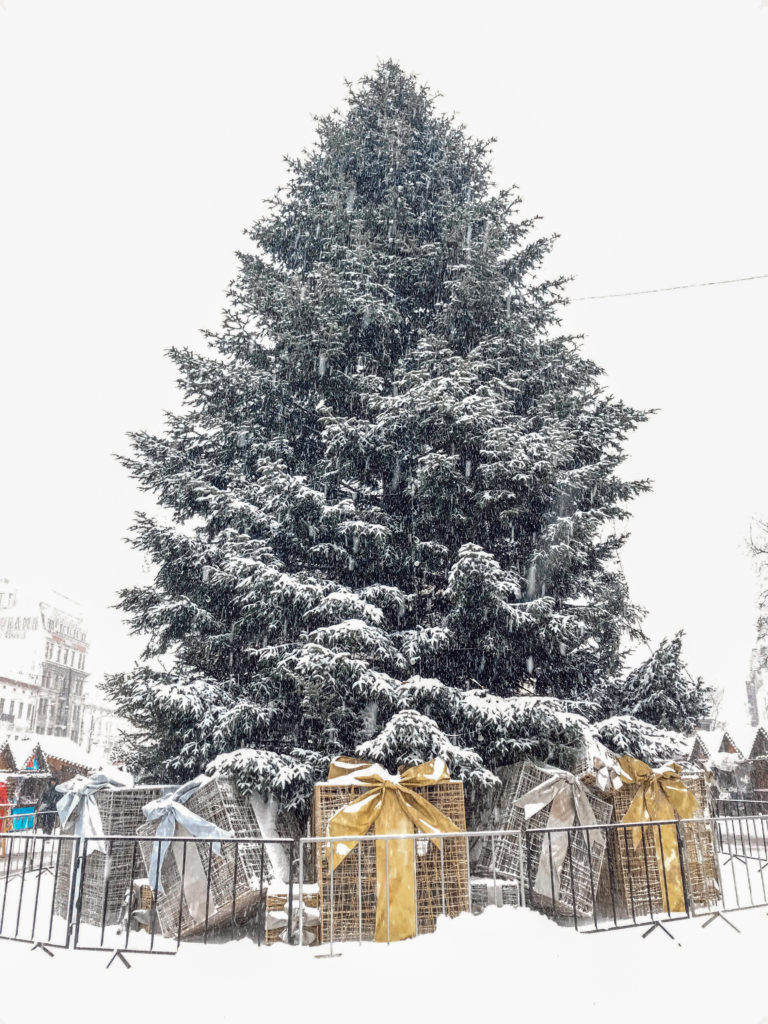 Metrelerce yükseklikteki bir noel ağacı ve altına yerleştirilmiş hediye paketlerinin yer aldığı görüntü.